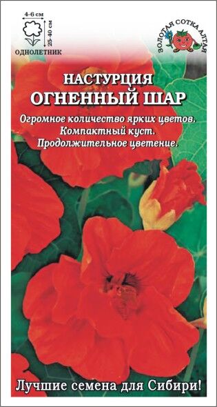 Настурция Огненый шар (Сотка)