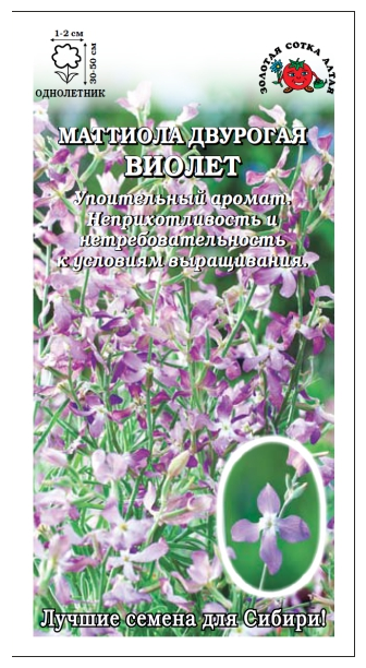 Маттиола Виолет (Сотка)