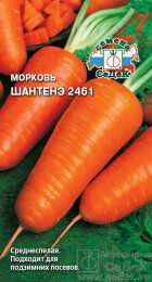 Морковь Шантенэ 2461 (Седек) б/п