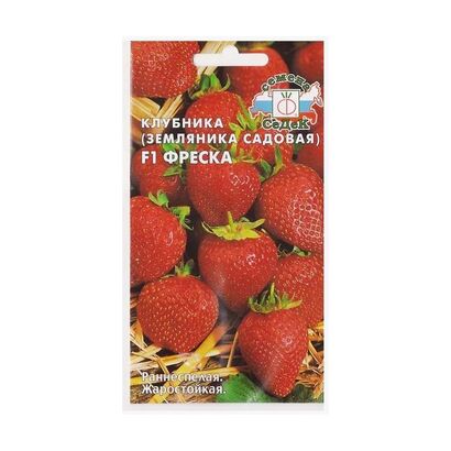 Земляника Фреска F1 ремонтантная (Седек)