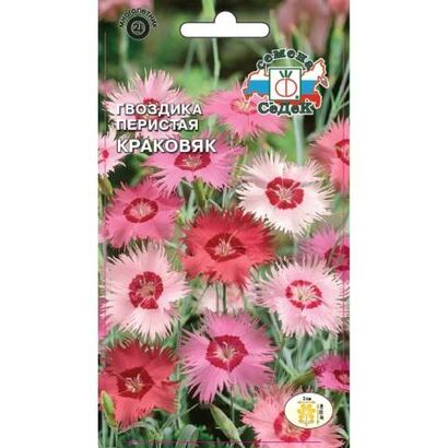 Гвоздика Краковяк перистая смесь (Седек)