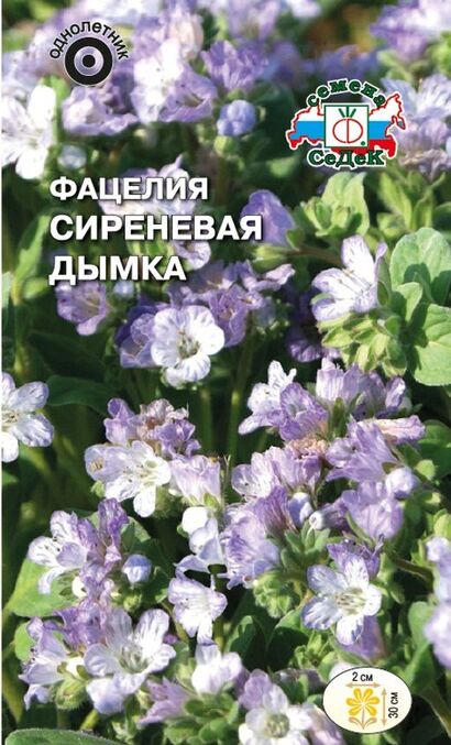 Фацелия Сиреневая дымка (Седек)