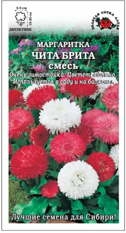 Маргаритка Чита Брита смесь (Сотка)