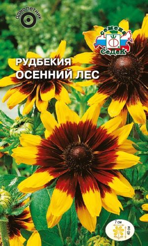 Рудбекия Осенний лес волосистая (Седек)
