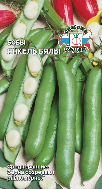 Бобы Янкель Бялы (Седек)