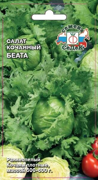 Салат Беата (айсберг) (Седек)