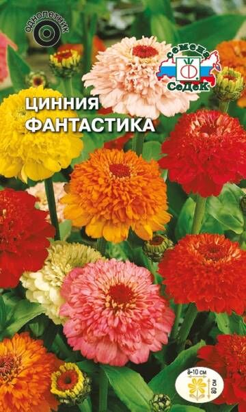 Цинния Фантастика смесь (Седек)