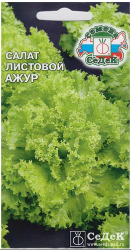 Салат Ажур (листовой) (Седек)