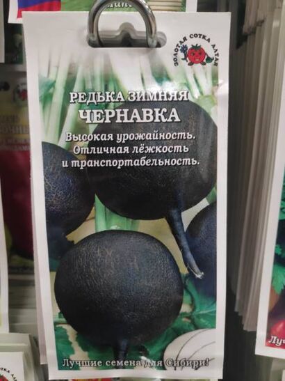 Редька Чернавка (Сотка)
