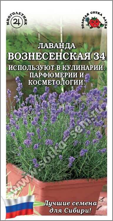 Лаванда Вознесенская 34 узколистная  (Сотка)