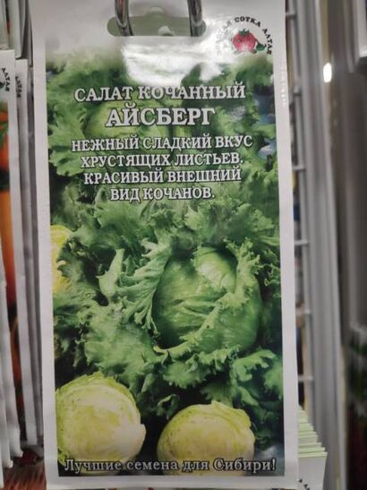 Салат Айсберг (кочан) (Сотка) б/п