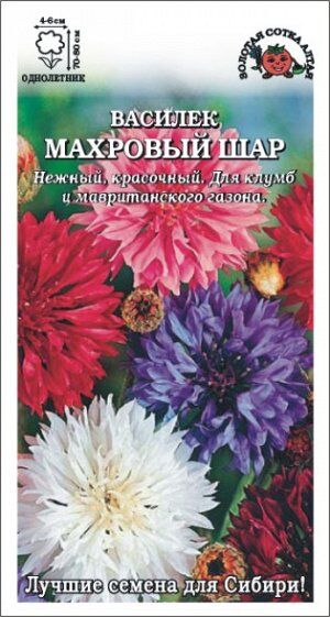 Василёк Махровый шар (Сотка)