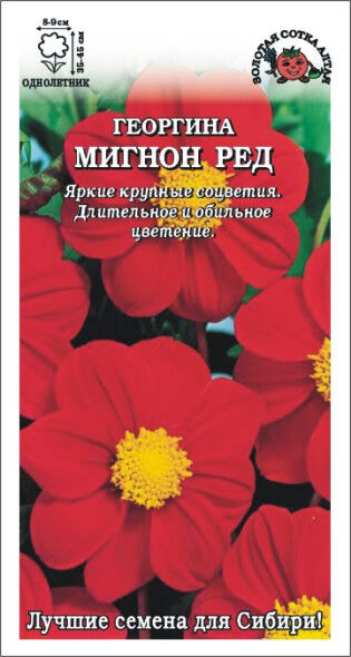 Георгина Мигнон Ред (Сотка)