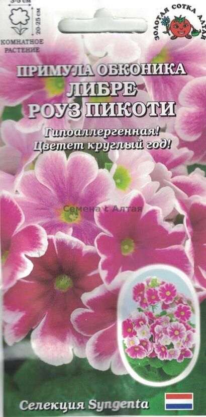 Примула Либре Роуз Пикоти (Сотка)