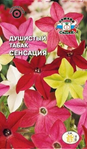 Душистый табак Сенсация смесь (Седек)