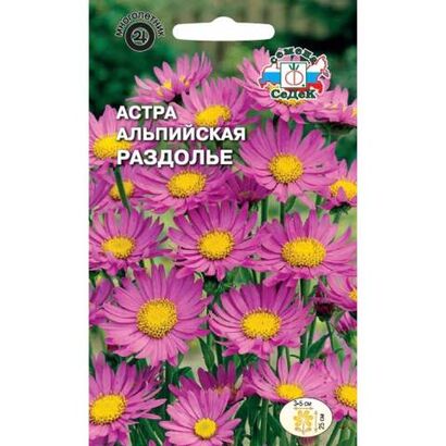 Астра альпийская Раздолье  (Седек)