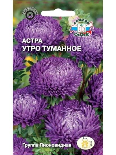 Астра Утро туманное пионовидная (Седек)