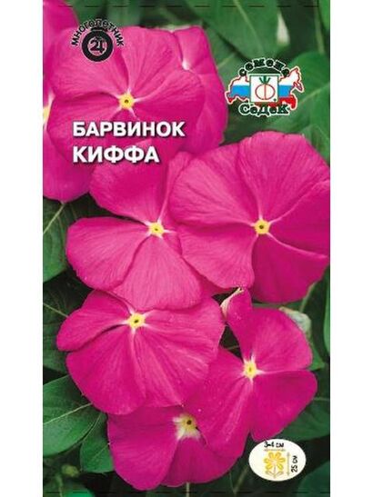 Барвинок Киффа карликовый (Седек)