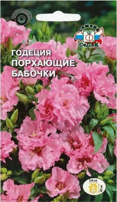 Годеция Порхающие бабочки (Седек)
