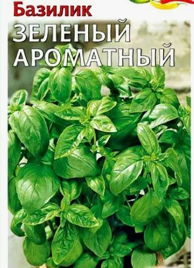 Базилик Зелёный Ароматный (Сотка) б/п