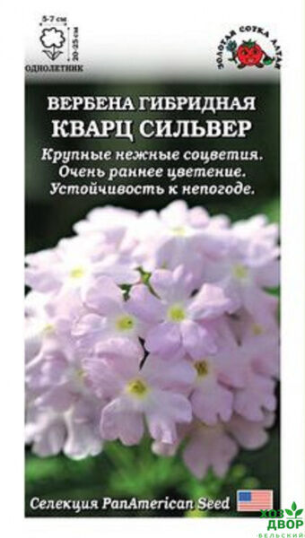 Вербена Кварц Сильвер (Сотка)