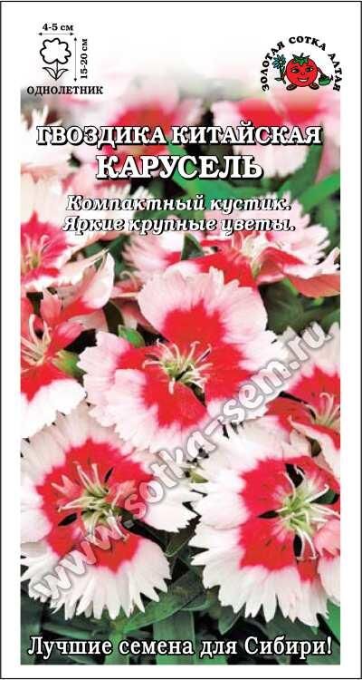 Гвоздика китайская Карусель (Сотка)