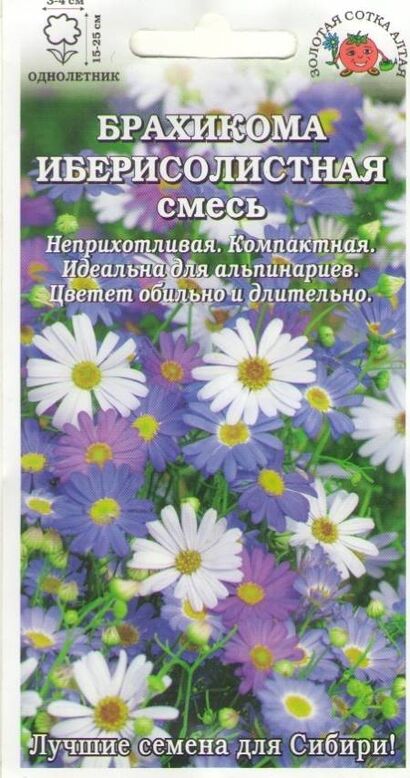 Брахикома Иберисолистная смесь (Сотка)