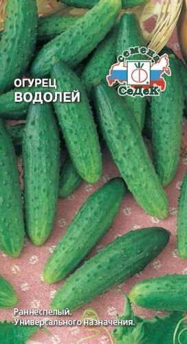 Огурец Водолей F1 (Седек)
