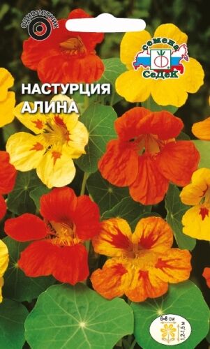 Настурция Алина вьющ.смесь (Седек)