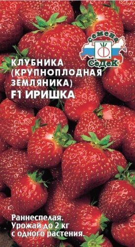 Земляника Иришка F1 (клубника)(Седек)
