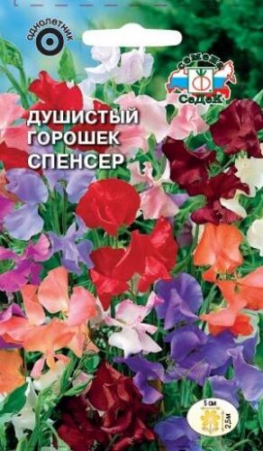 Душистый горошек Спенсер смесь (Седек)