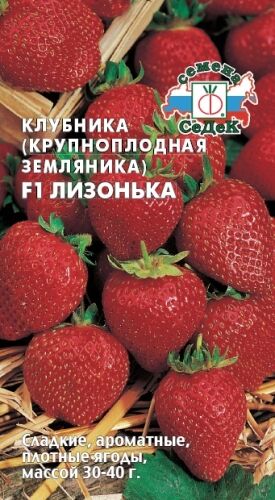Земляника Лизонька F1 (Седек)