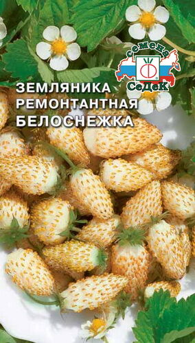 Земляника Белоснежка (Седек)
