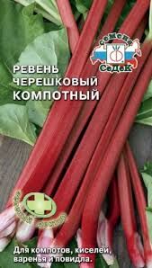 Ревень черешковый Компотный (Седек)