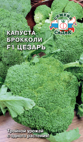 Капуста брок. Цезарь F1 (Седек)
