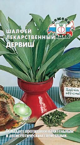 Шалфей Дервиш лекарственный (Седек)