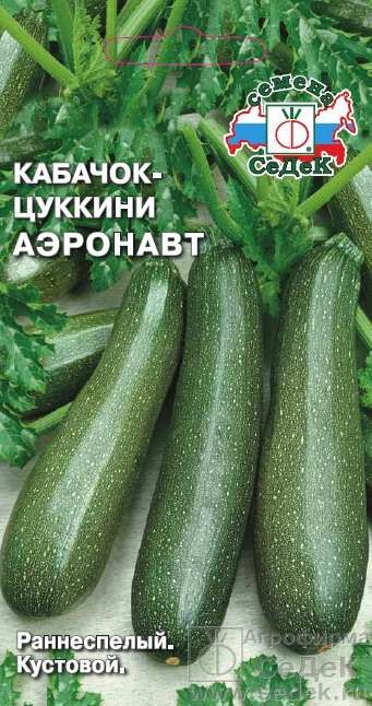 Кабачок Аэронавт (Седек) б/п