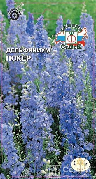Дельфиниум Покер (Седек)
