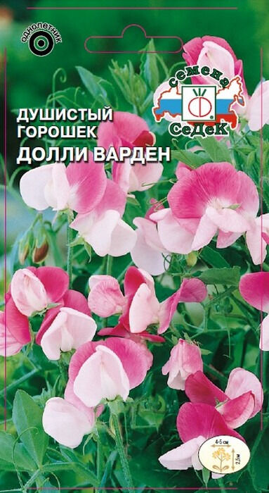 Душистый горошек Долли Варден (Седек)