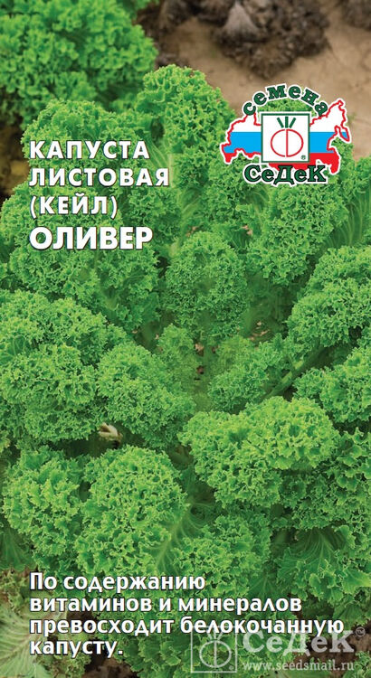 Капуста лист.Оливер (Седек)