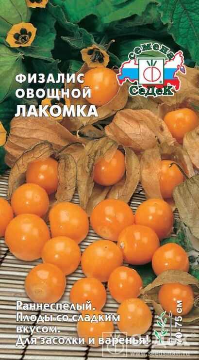 Физалис Лакомка овощной (Седек)