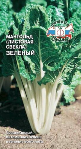 Мангольд Зелёный (Седек)