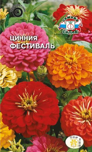 Цинния Фестиваль георгиновидная смесь (Седек)