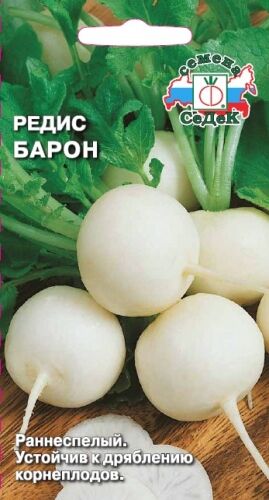 Редис Барон (Седек)