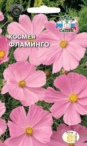 Космея Фламинго нежно-розовая (Седек)