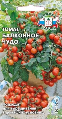 Томат Балконное чудо (Седек)