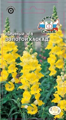 Львиный зев Золотой каскад (Седек)
