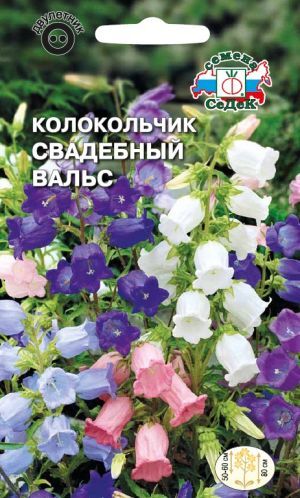 Колокольчик Свадебный вальс средний смесь (Седек)