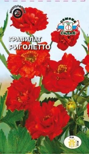 Гравилат Риголетто чилийский алый (Седек)