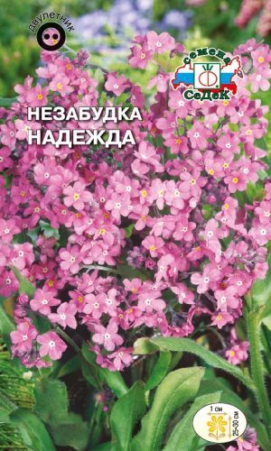 Незабудка Надежда альпийская (Седек)